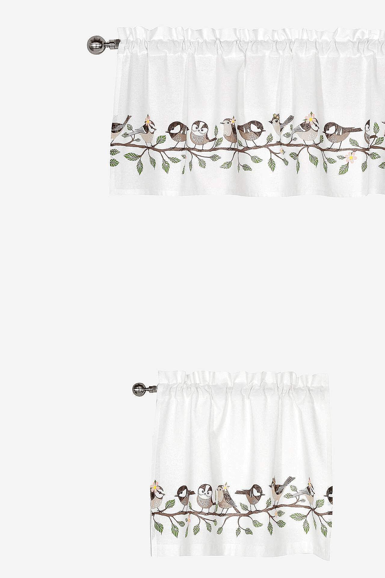 Gardinsett Vårfåglar Birds Birds